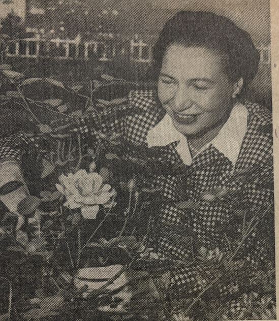 Constance Hedden Schotland